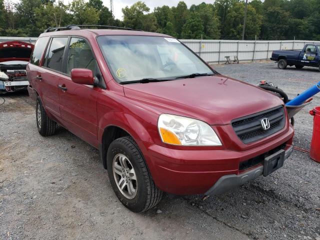 HONDA PILOT EXL 2004 with VIN 5FNYF18594B005793 - Photo from auction
