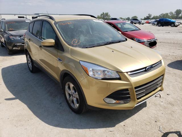 FORD ESCAPE SE 2014 with VIN 1FMCU0G98EUD50851 - Photo from auction