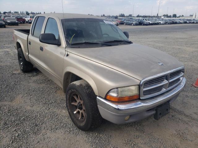 DODGE DAKOTA QUA 2004 with VIN 1D7HL48N84S644492 - Photo from auction