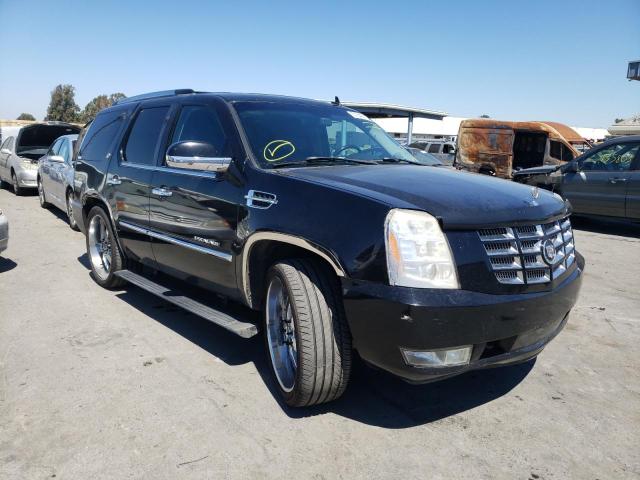 CADILLAC ESCALADE L 2007 with VIN 1GYFK63827R288399 - Photo from auction
