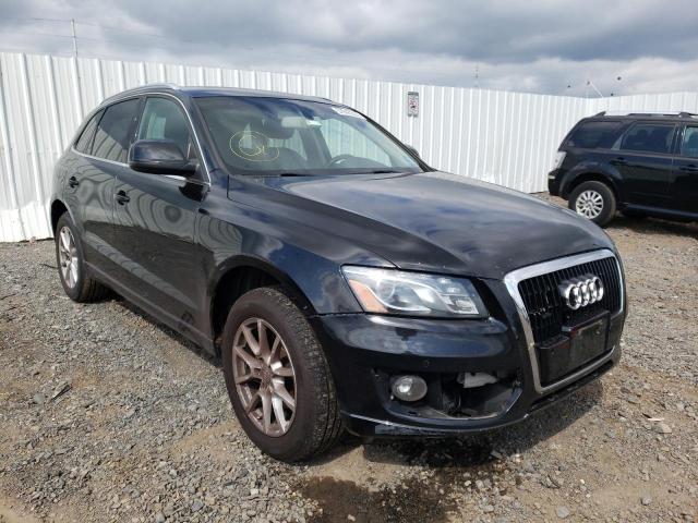 AUDI Q5 PREMIUM 2010 with VIN WA1LKAFP8AA015031 - Photo from auction