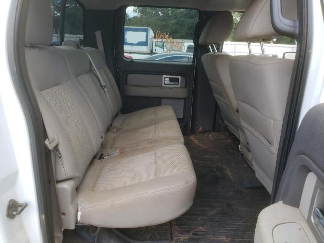 Photo 6 from auction – 2010 FORD F150 SUPER with VIN 1FTFW1EV0AFD61505