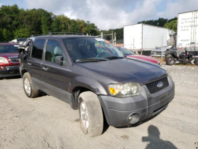 FORD ESCAPE XLT 2006 with VIN 1FMYU93166KC65384 - Photo from auction