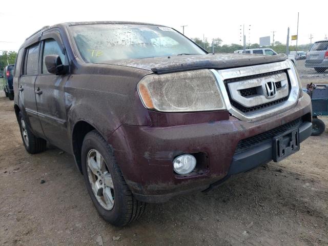 HONDA PILOT EX 2009 with VIN 5FNYF48439B055184 - Photo from auction