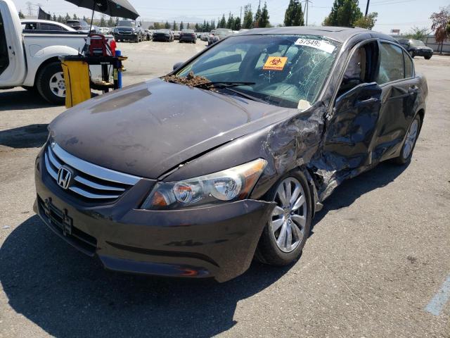 Photo 2 from auction – 2011 HONDA ACCORD EXL with VIN 1HGCP2F83BA082886