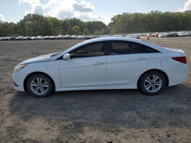 Photo 9 from auction – 2014 HYUNDAI SONATA GLS with VIN 5NPEB4AC0EH839379