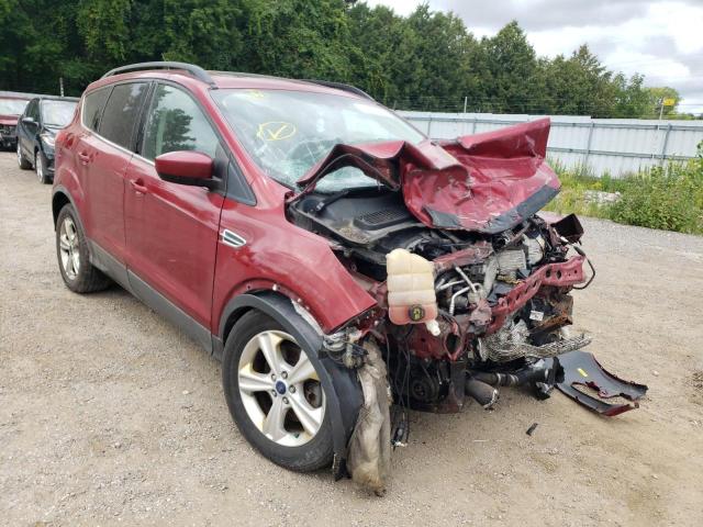 FORD ESCAPE SE 2014 with VIN 1FMCU9G92EUD82313 - Photo from auction
