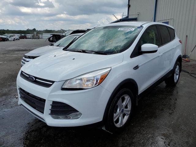 Photo 2 from auction – 2013 FORD ESCAPE SE with VIN 1FMCU9GXXDUB03333