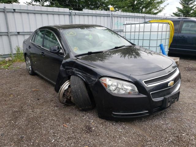 CHEVROLET MALIBU 2LT 2010 with VIN 1G1ZD5E04A4141254 - Photo from auction