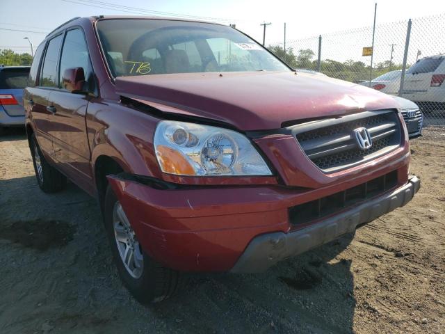 HONDA PILOT EXL 2005 with VIN 5FNYF18505B046900 - Photo from auction
