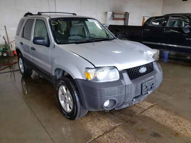 FORD ESCAPE XLT 2007 with VIN 1FMCU03Z77KB96234 - Photo from auction