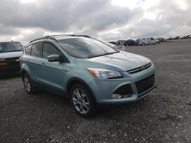 FORD ESCAPE SEL 2013 with VIN 1FMCU0HX4DUC60057 - Photo from auction