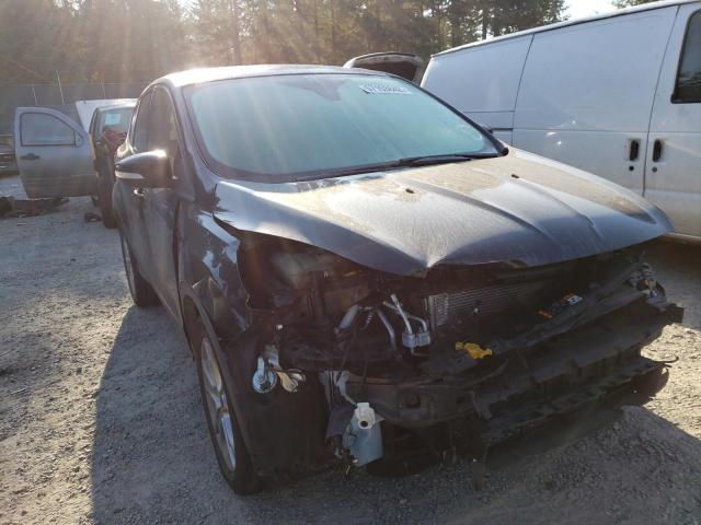 FORD ESCAPE SEL 2013 with VIN 1FMCU9HX0DUB56041 - Photo from auction