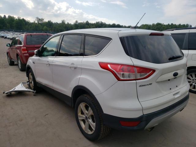 Photo 3 from auction – 2014 FORD ESCAPE SE with VIN 1FMCU0GX7EUC48925