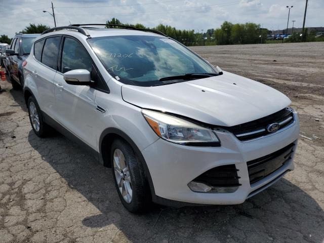FORD ESCAPE SEL 2013 with VIN 1FMCU0HX3DUA71206 - Photo from auction