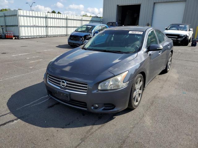 Photo 2 from auction – 2010 NISSAN MAXIMA S with VIN 1N4AA5AP7AC811102