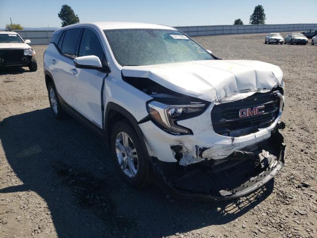 GMC TERRAIN SL 2019 with VIN 3GKALTEV4KL389236 - Photo from auction