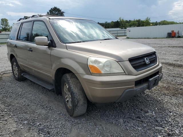 HONDA PILOT EXL 2005 with VIN 2HKYF18695H523429 - Photo from auction