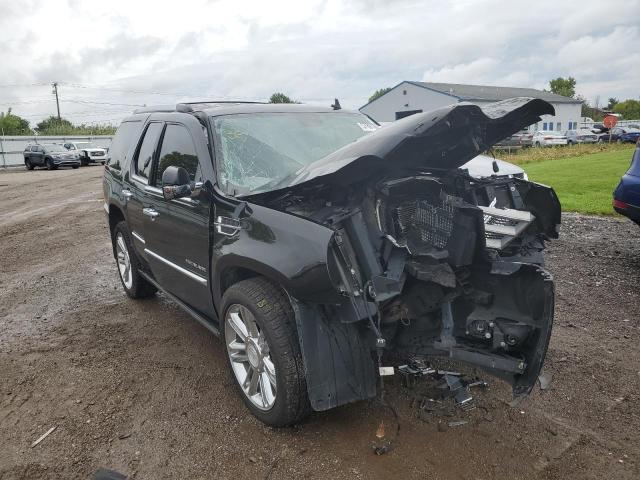 CADILLAC ESCALADE P 2012 with VIN 1GYS4DEFXCR252057 - Photo from auction
