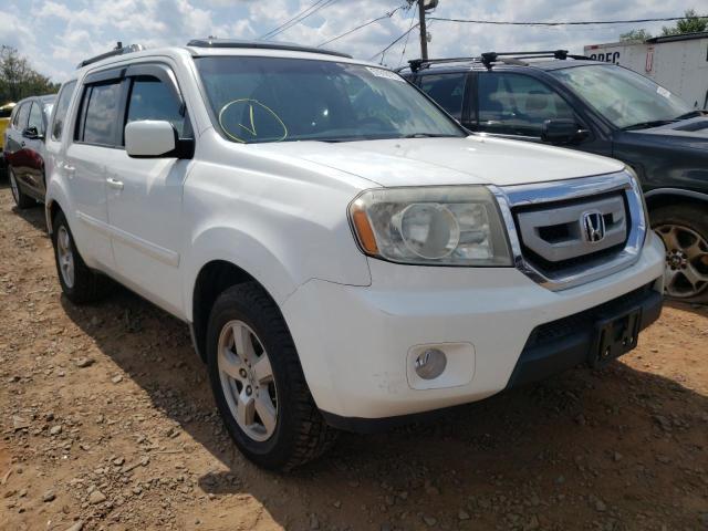 HONDA PILOT EXL 2009 with VIN 5FNYF48589B030029 - Photo from auction