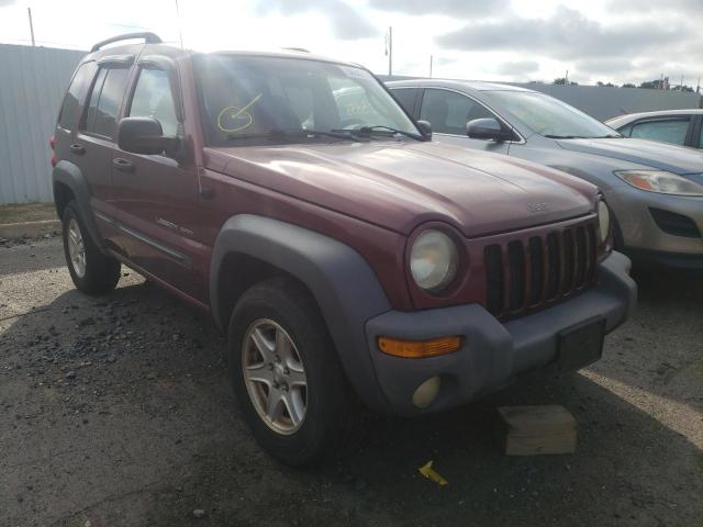 JEEP LIBERTY SP 2003 with VIN 1J4GL48K03W623536 - Photo from auction