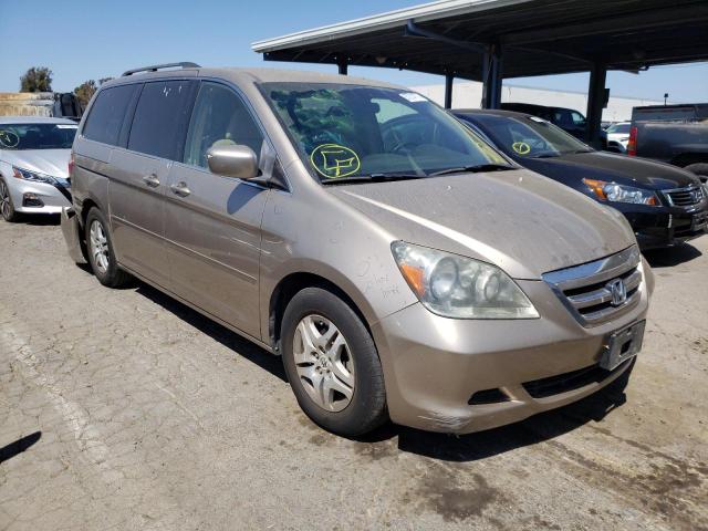 HONDA ODYSSEY EX 2006 with VIN 5FNRL38496B404805 - Photo from auction
