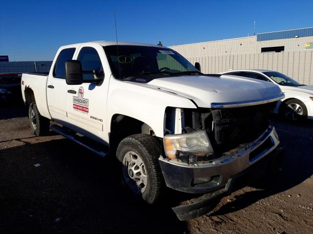 CHEVROLET SILVERADO 2011 with VIN 1GC1KXCG6BF249161 - Photo from auction