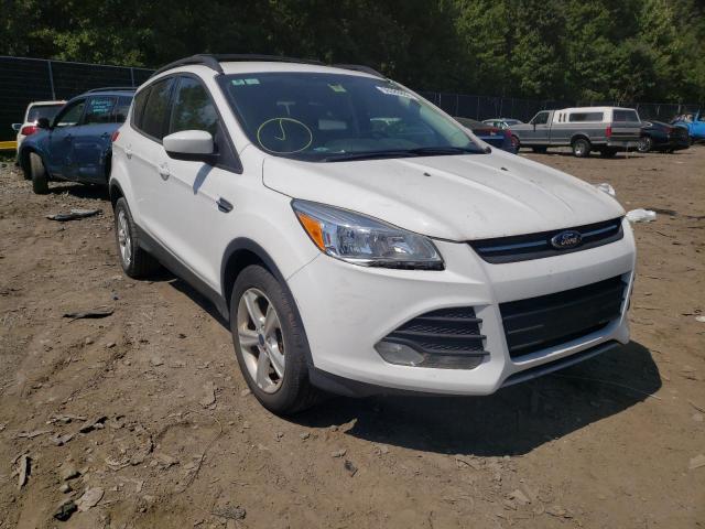 FORD ESCAPE SE 2014 with VIN 1FMCU9G95EUD13566 - Photo from auction