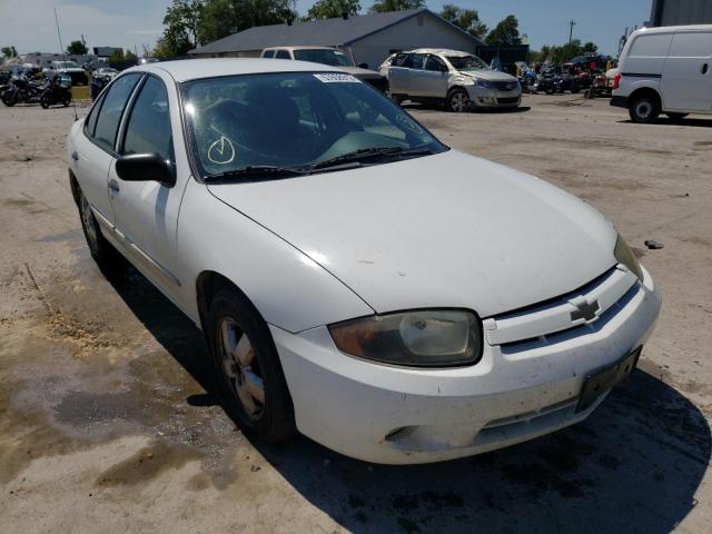 CHEVROLET CAVALIER L 2004 with VIN 1G1JF52F247205813 - Photo from auction