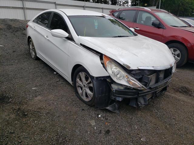 HYUNDAI SONATA GLS 2011 with VIN 5NPEB4AC3BH075944 - Photo from auction