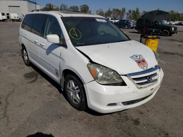 HONDA ODYSSEY EX 2007 with VIN 5FNRL38777B430279 - Photo from auction