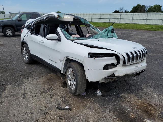 JEEP CHEROKEE L 2020 with VIN 1C4PJMDB0EW156834 - Photo from auction