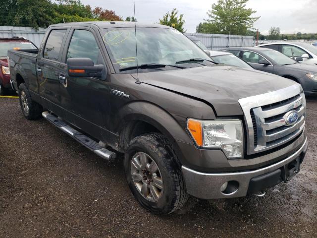 FORD F150 SUPER 2009 with VIN 1FTRW14839KC59630 - Photo from auction