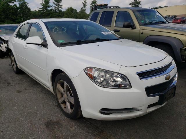 Photo 1 from auction – 2011 CHEVROLET MALIBU 1LT with VIN 1G1ZC5E12BF113986