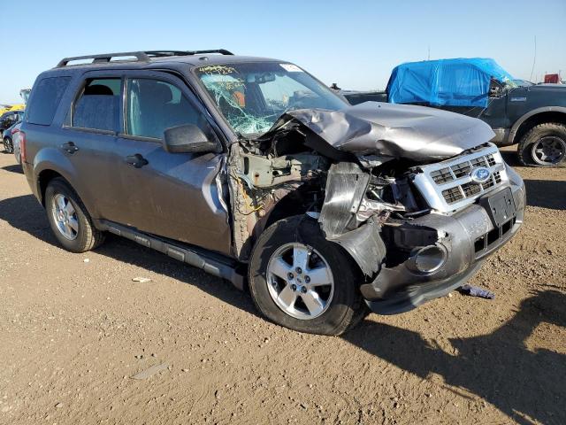 FORD ESCAPE XLT 2011 with VIN 1FMCU9D73BKA55879 - Photo from auction