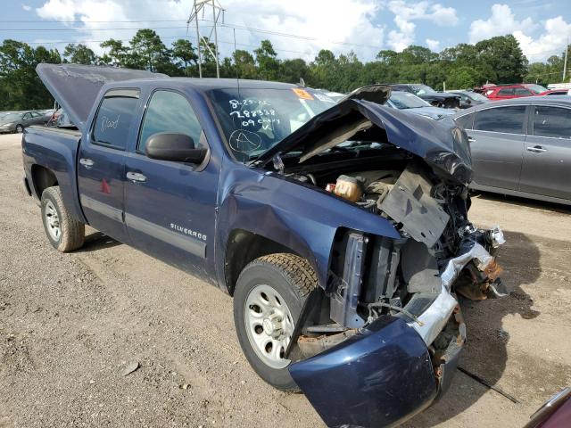CHEVROLET SILVERADO 2009 with VIN 3GCEC13C39G288338 - Photo from auction