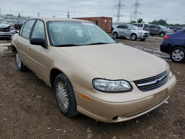 CHEVROLET MALIBU 2001 with VIN 1G1ND52J616187328 - Photo from auction
