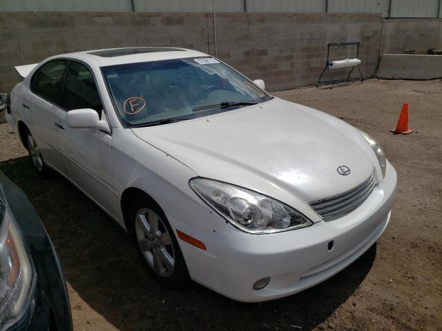 LEXUS ES 330 2006 with VIN JTHBA30G465160798 - Photo from auction