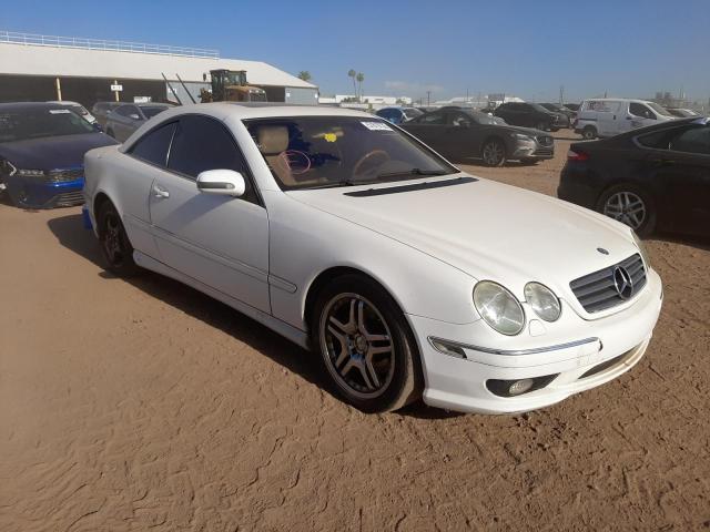 MERCEDES-BENZ CL 500 2002 with VIN WDBPJ75J22A030442 - Photo from auction
