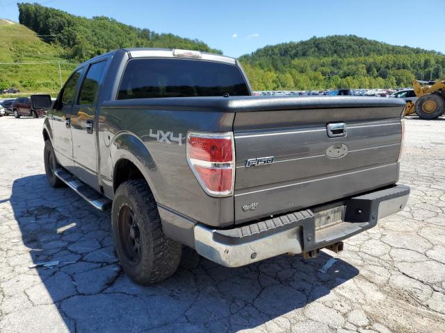 Photo 3 from auction – 2010 FORD F150 SUPER with VIN 1FTEW1E80AFB33218