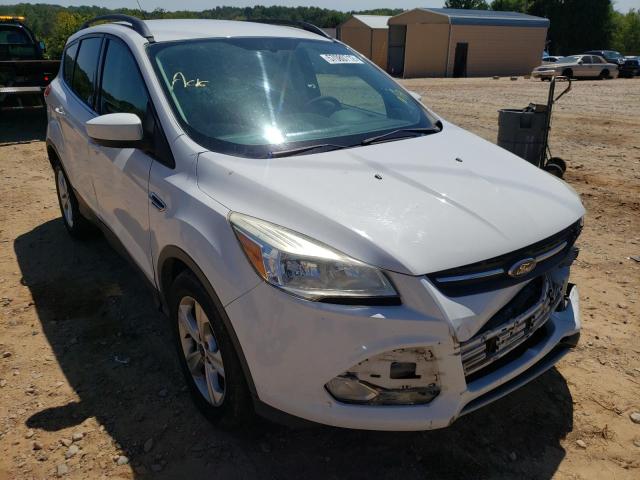 FORD ESCAPE SE 2014 with VIN 1FMCU0GX0EUE15044 - Photo from auction
