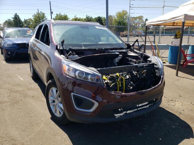 Photo 9 from auction – 2017 KIA SORENTO LX with VIN 5XYPGDA54HG334243