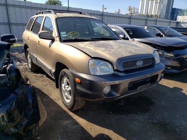 HYUNDAI SANTA FE G 2003 with VIN KM8SC73D73U374329 - Photo from auction