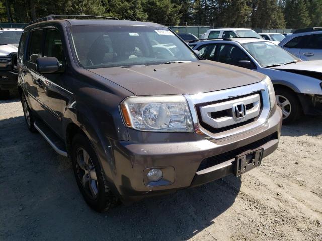 HONDA PILOT EXL 2011 with VIN 5FNYF4H57BB005385 - Photo from auction