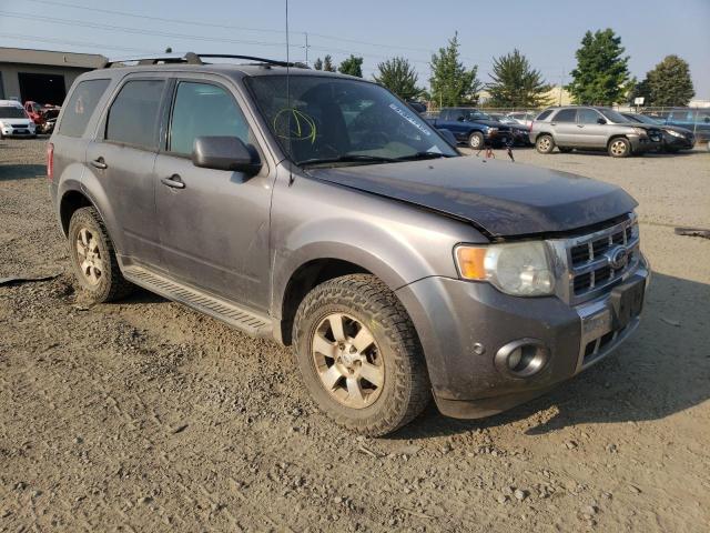 FORD ESCAPE LIM 2010 with VIN 1FMCU9EG3AKC64035 - Photo from auction