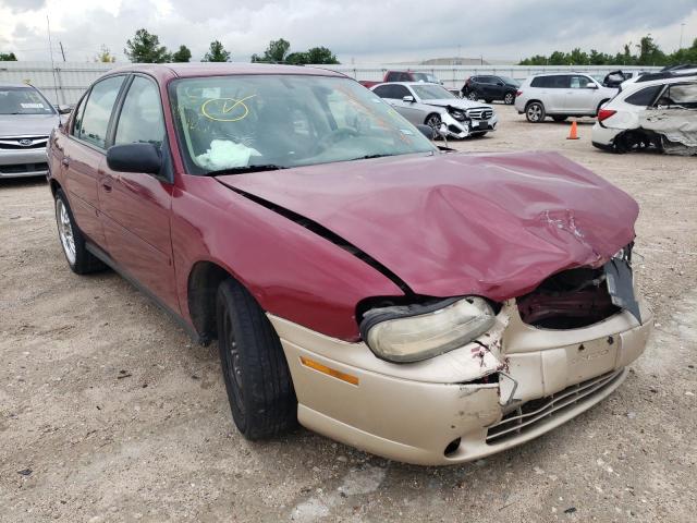 CHEVROLET MALIBU 2004 с VIN 1G1ND52F74M702610 - Фото с аукциона