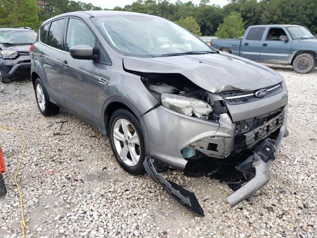 FORD ESCAPE SE 2014 with VIN 1FMCU0GX2EUE06183 - Photo from auction