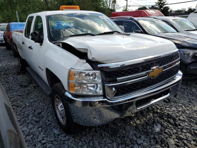 CHEVROLET SILVERADO 2013 with VIN 1GC1KVCG4DF116146 - Photo from auction