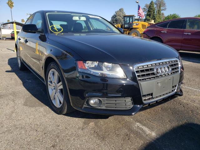 AUDI A4 PREMIUM 2010 with VIN WAUAFAFL5AN010387 - Photo from auction