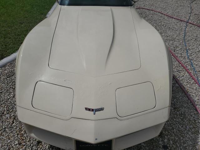 Photo 7 from auction – 1981 CHEVROLET CORVETTE with VIN 1G1AY8766BS413563